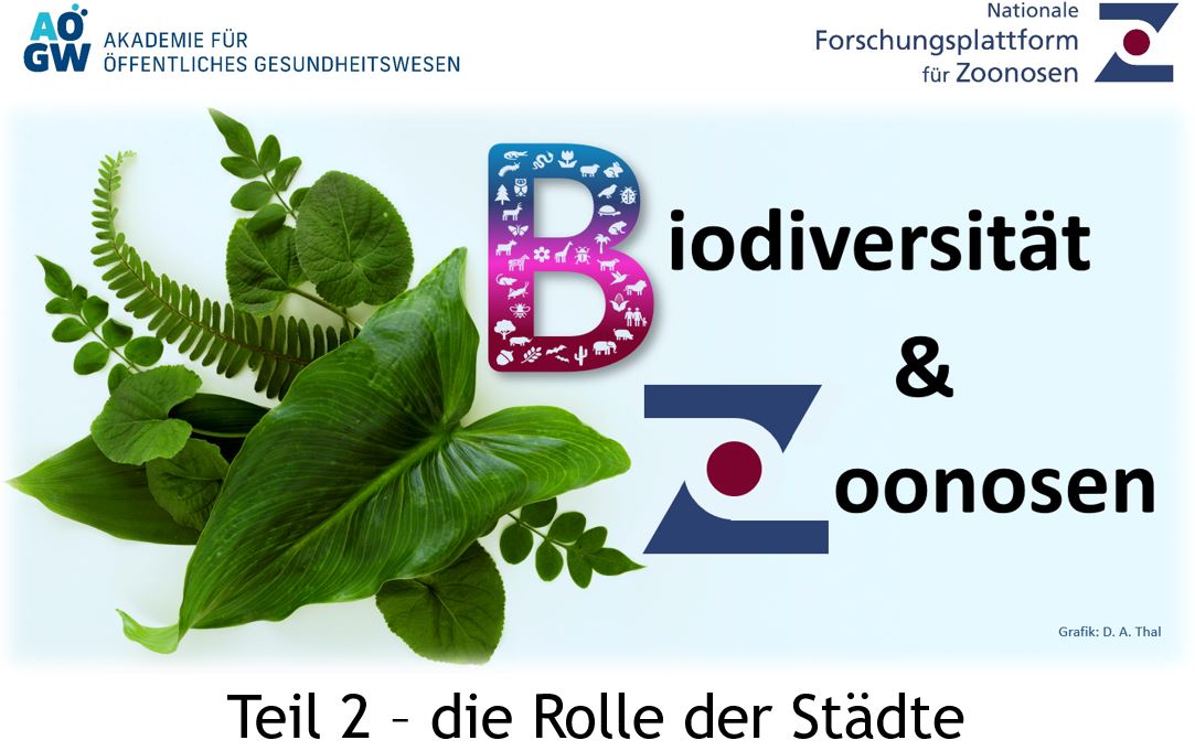 Biodiversität und Zoonosen: Die Bedeutung der Moore | Nationale ...